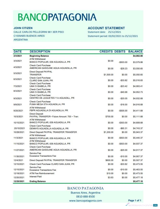 Download Argentina Banco Patagonia bank statement excel Photoshop template